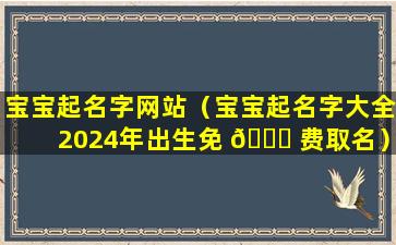 宝宝起名字网站（宝宝起名字大全2024年出生免 🐕 费取名）